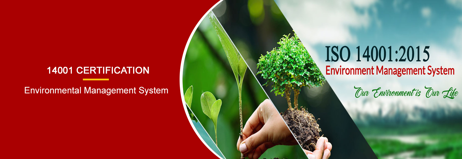 ISO Consultant Noida