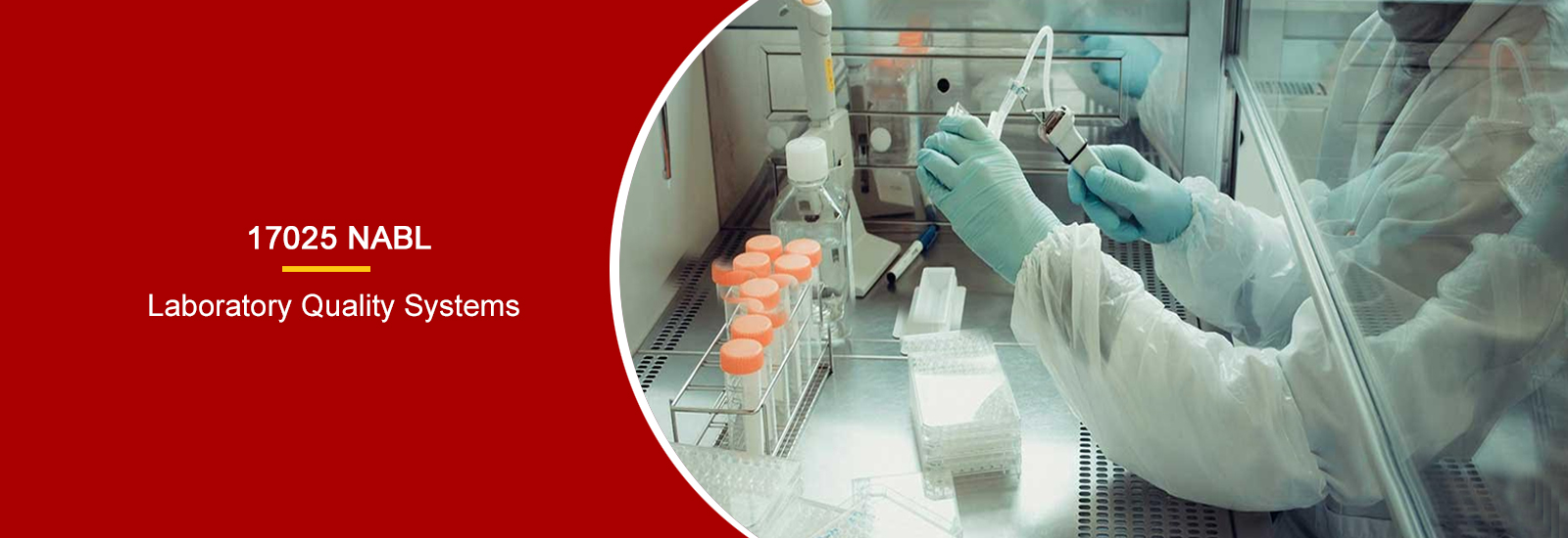 ISO Consultant Noida